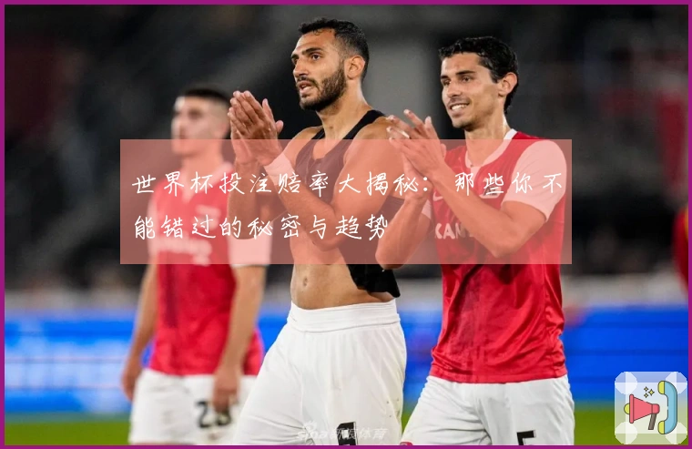 世界杯投注赔率大揭秘:那些你不能错过的秘密与趋势