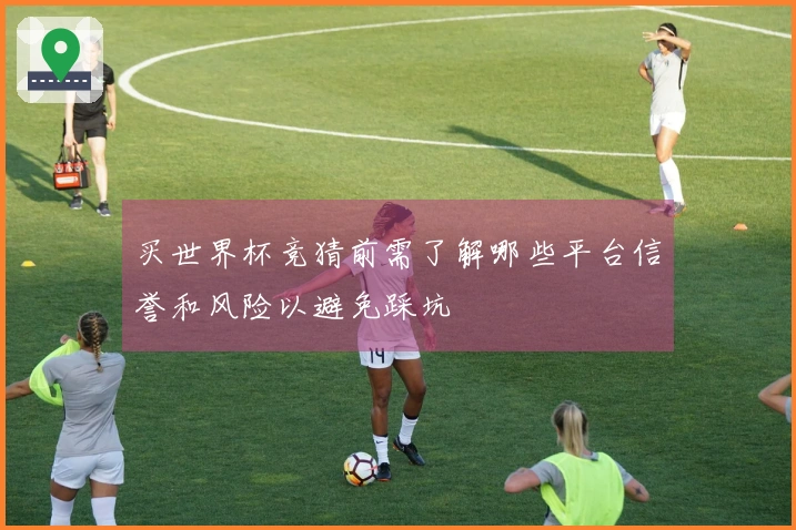 买世界杯竞猜前需了解哪些平台信誉和风险以避免踩坑