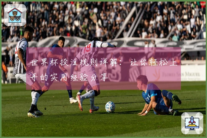 世界杯投注规则详解：让你轻松上手的实用经验分享
