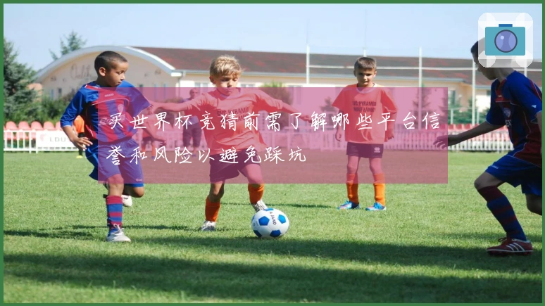 买世界杯竞猜前需了解哪些平台信誉和风险以避免踩坑