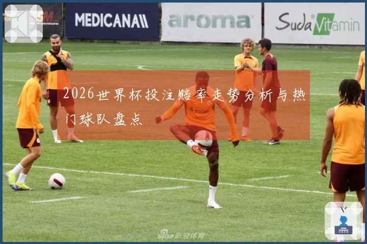 2026世界杯投注赔率走势分析与热门球队盘点